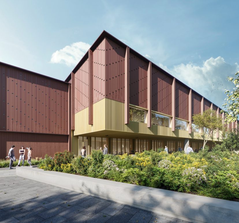 316-02.0_CopyrightDMOO-web