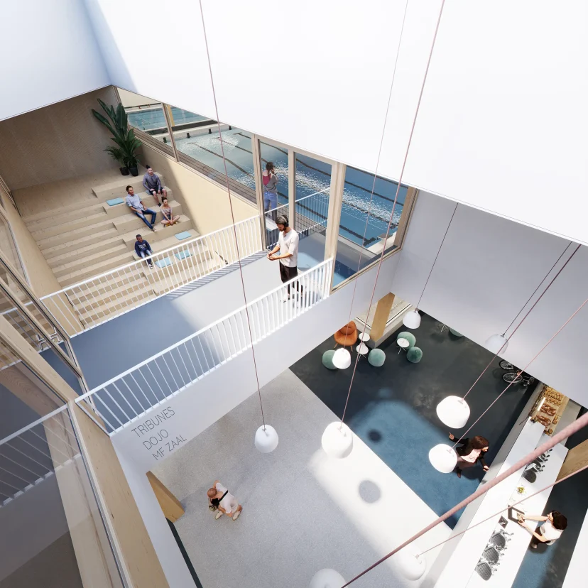 256-11.0_CopyrightDMOO-web