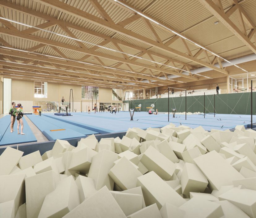 361-INT 01.0_CopyrightDMOO-web