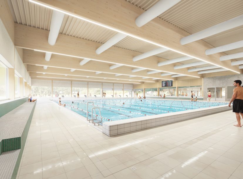 336-02.1_CopyrightDMOO-web